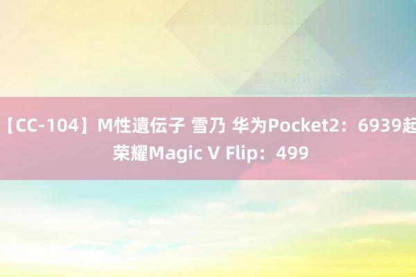 【CC-104】M性遺伝子 雪乃 华为Pocket2：6939起 荣耀Magic V Flip：499