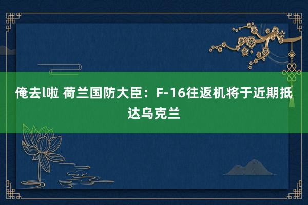 俺去l啦 荷兰国防大臣：F-16往返机将于近期抵达乌克兰