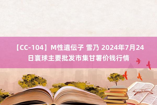 【CC-104】M性遺伝子 雪乃 2024年7月24日寰球主要批发市集甘薯价钱行情