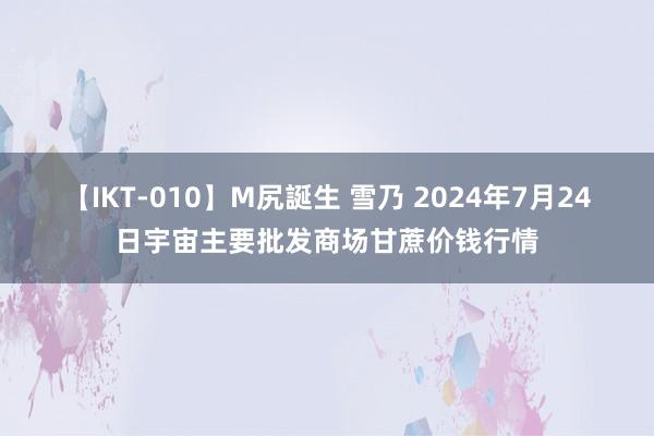 【IKT-010】M尻誕生 雪乃 2024年7月24日宇宙主要批发商场甘蔗价钱行情