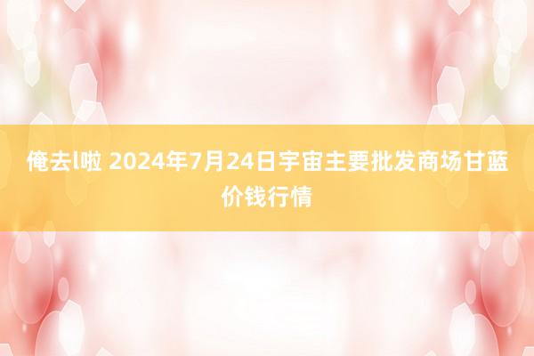 俺去l啦 2024年7月24日宇宙主要批发商场甘蓝价钱行情