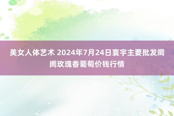 美女人体艺术 2024年7月24日寰宇主要批发阛阓玫瑰香葡萄价钱行情