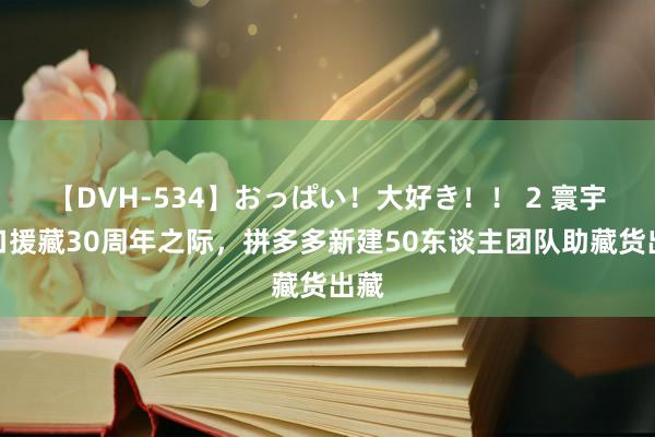 【DVH-534】おっぱい！大好き！！ 2 寰宇对口援藏30周年之际，拼多多新建50东谈主团队助藏货出藏