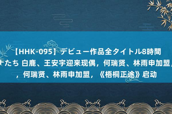 【HHK-095】デビュー作品全タイトル8時間 百花で脱いだオンナたち 白鹿、王安宇迎来现偶，何瑞贤、林雨申加盟，《梧桐正途》启动