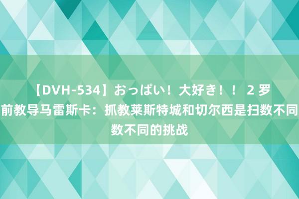 【DVH-534】おっぱい！大好き！！ 2 罗杰斯赛前教导马雷斯卡：抓教莱斯特城和切尔西是扫数不同的挑战