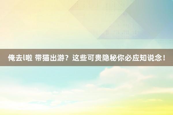 俺去l啦 带猫出游？这些可贵隐秘你必应知说念！