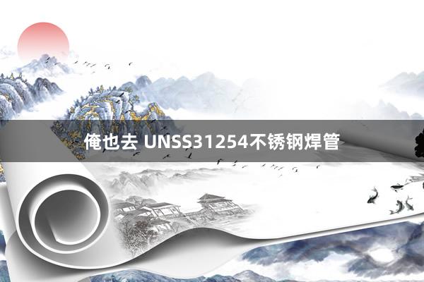 俺也去 UNSS31254不锈钢焊管