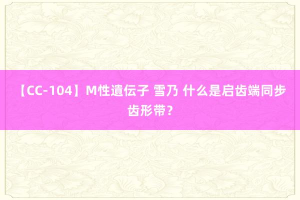 【CC-104】M性遺伝子 雪乃 什么是启齿端同步齿形带？