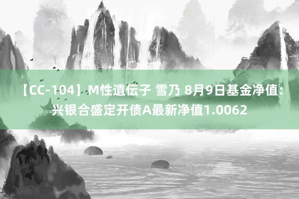 【CC-104】M性遺伝子 雪乃 8月9日基金净值：兴银合盛定开债A最新净值1.0062