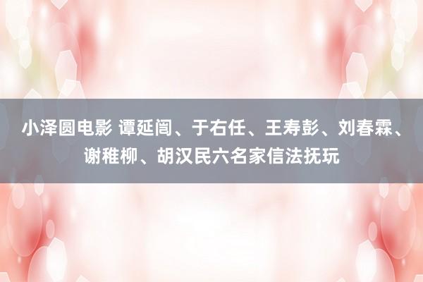 小泽圆电影 谭延闿、于右任、王寿彭、刘春霖、谢稚柳、胡汉民六名家信法抚玩