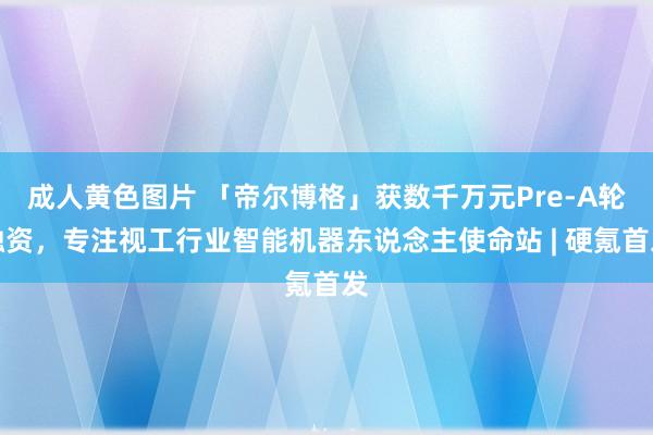 成人黄色图片 「帝尔博格」获数千万元Pre-A轮融资，专注视工行业智能机器东说念主使命站 | 硬氪首发