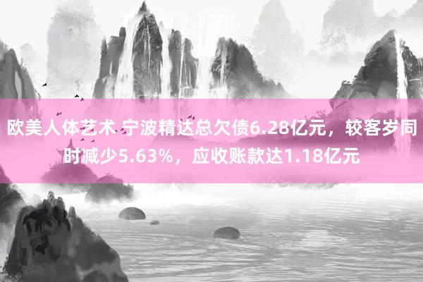 欧美人体艺术 宁波精达总欠债6.28亿元，较客岁同时减少5.63%，应收账款达1.18亿元