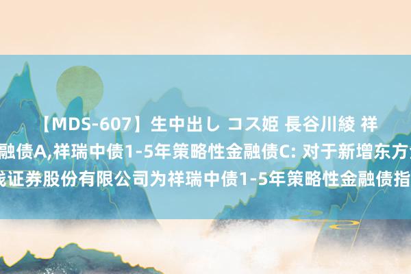 【MDS-607】生中出し コス姫 長谷川綾 祥瑞中债1-5年策略性金融债A，祥瑞中债1-5年策略性金融债C: 对于新增东方金钱证券股份有限公司为祥瑞中债1-5年策略性金融债指数证券投资基金销售机构的公告