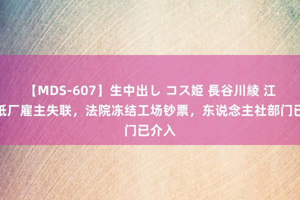 【MDS-607】生中出し コス姫 長谷川綾 江门一纸厂雇主失联，法院冻结工场钞票，东说念主社部门已介入