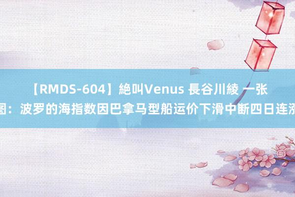 【RMDS-604】絶叫Venus 長谷川綾 一张图：波罗的海指数因巴拿马型船运价下滑中断四日连涨