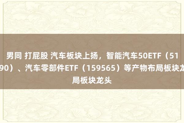 男同 打屁股 汽车板块上扬，智能汽车50ETF（516590）、汽车零部件ETF（159565）等产物布局板块龙头