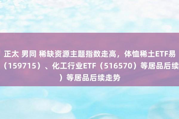 正太 男同 稀缺资源主题指数走高，体恤稀土ETF易方达（159715）、化工行业ETF（516570）等居品后续走势