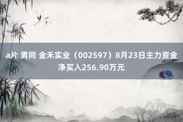 a片 男同 金禾实业（002597）8月23日主力资金净买入256.90万元