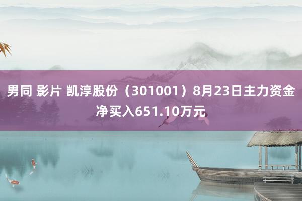 男同 影片 凯淳股份（301001）8月23日主力资金净买入651.10万元