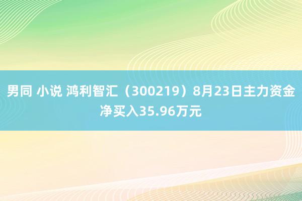 男同 小说 鸿利智汇（300219）8月23日主力资金净买入35.96万元