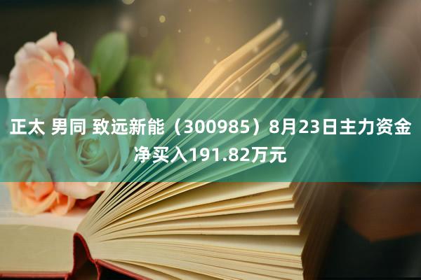 正太 男同 致远新能（300985）8月23日主力资金净买入191.82万元