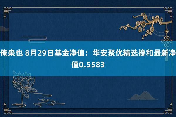 俺来也 8月29日基金净值：华安聚优精选搀和最新净值0.5583