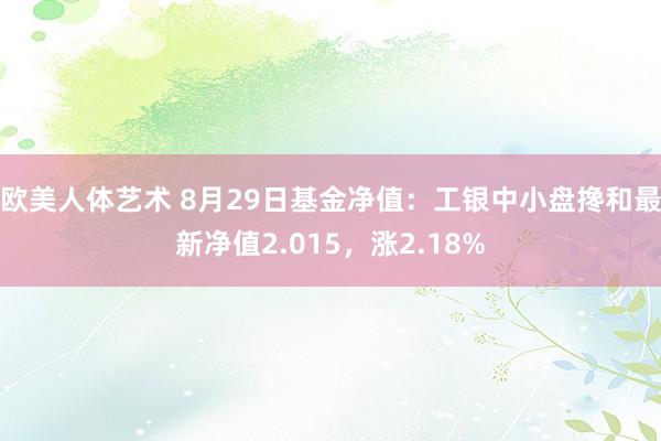 欧美人体艺术 8月29日基金净值：工银中小盘搀和最新净值2.015，涨2.18%