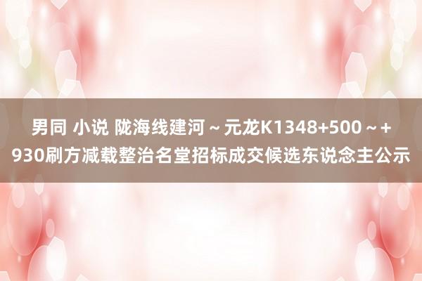 男同 小说 陇海线建河～元龙K1348+500～+930刷方减载整治名堂招标成交候选东说念主公示