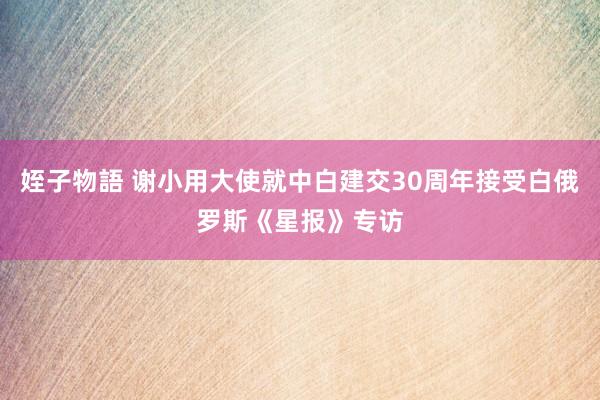 姪子物語 谢小用大使就中白建交30周年接受白俄罗斯《星报》专访