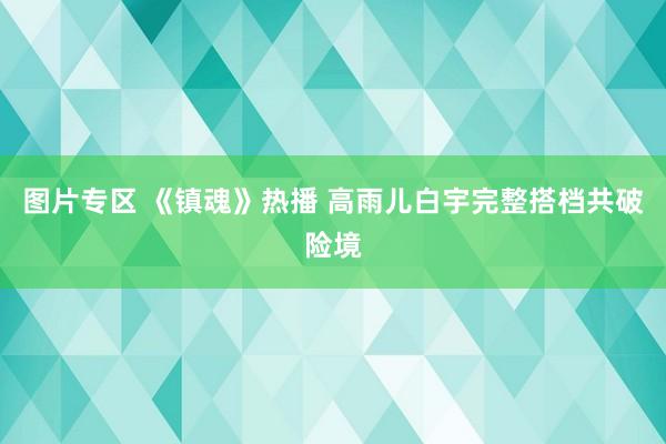 图片专区 《镇魂》热播 高雨儿白宇完整搭档共破险境